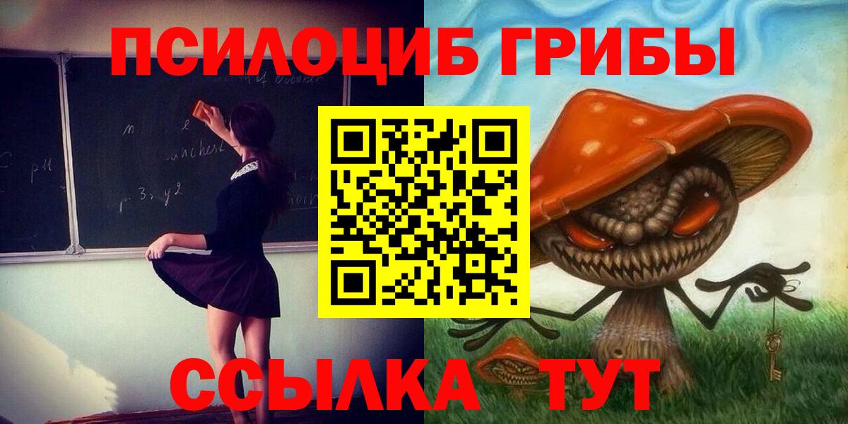 Галлюциногенные грибы Psilocybe Ялуторовск